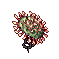 drosera.png