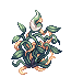 creeper.gif