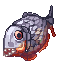 piranha2.gif
