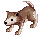 desert_wolf_b.gif