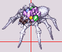 dolomedes.act.gif