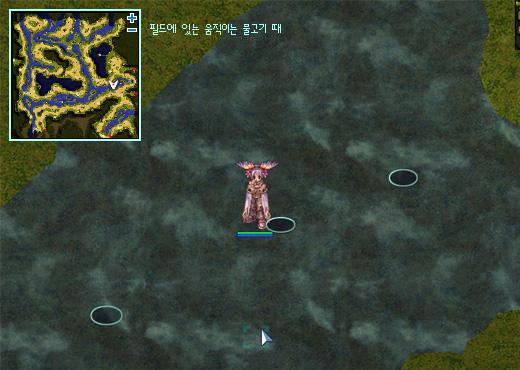 fishing05.jpg